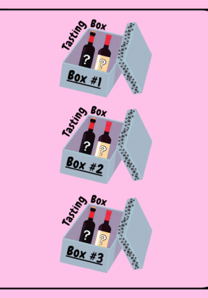 Lot de 3 Tasting Box