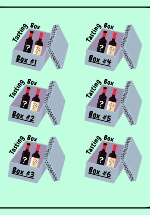 Lot de 6 Tasting Box
